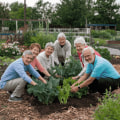 Engaging Seniors in Community Gardening: Creative Approaches and Benefits
