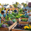 Engaging Local Businesses to Support Community Gardening Initiatives