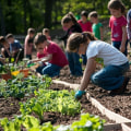 Engaging Local Schools in Community Gardening Initiatives