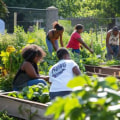 Building Community Through Collaboration: Effective Strategies for Community Gardens