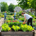 Essential Tips for Thriving Community Gardening