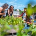 Getting Started with Community Gardening: A Step-by-Step Guide