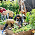 Ensuring Safety and Security in Community Gardening: Best Practices and Strategies
