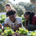 Exploring the Diverse Types of Community Gardening