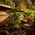 Steps to Successfully Start Your Own Community Garden