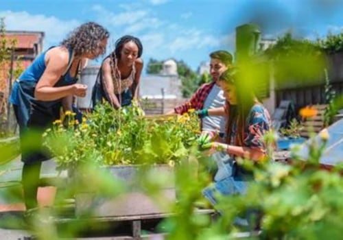 Getting Started with Community Gardening: A Step-by-Step Guide