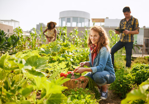 Harnessing Community Gardens for Job Creation and Economic Development