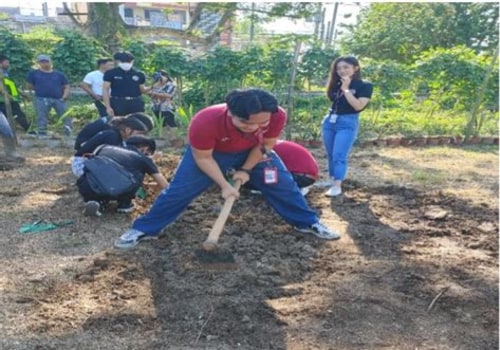 Engaging Local Government to Foster Community Gardening Initiatives